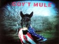 Gov T Mule World Of Difference mp3