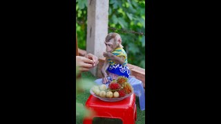 Monkey baby pink sit eat fruit outside with natural lovely