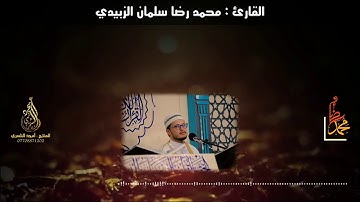 سورة الزمر ¦ البصرة ¦ محمد رضا سلمان الزبيدي
