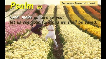 Sa79 Fourth Sunday of Advent Cycle C ( English )