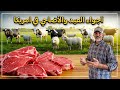 اجواء عيد الاضحي في امريكا