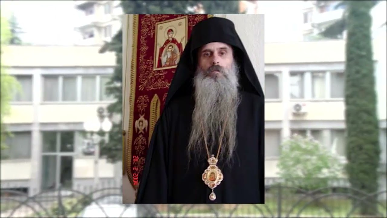 Синодот на МПЦ-ОА одобри интеграција со ПОА, поделбата на епархии треба да ја одобри СПЦ