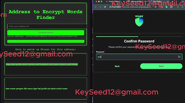 I Lost My Seed Phrase! Now What? (Crypto Recovery Guide)