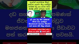 "දඩයි බදුයි විතරයි! #trending #viral #short #sri lanka #breakin