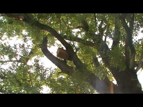 Установка Ловушки для