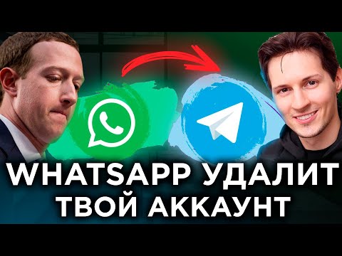 СРОЧНО СДЕЛАЙ! Как перенести чаты из WhatsApp в Телеграм