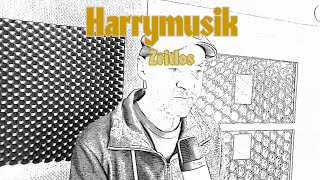 Harrymusik - Zeitlos Offizielles Video