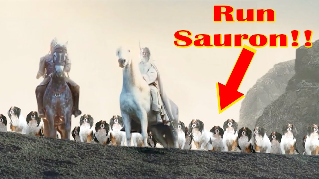 Gandalf´s DOGS save the day! ALL of them!