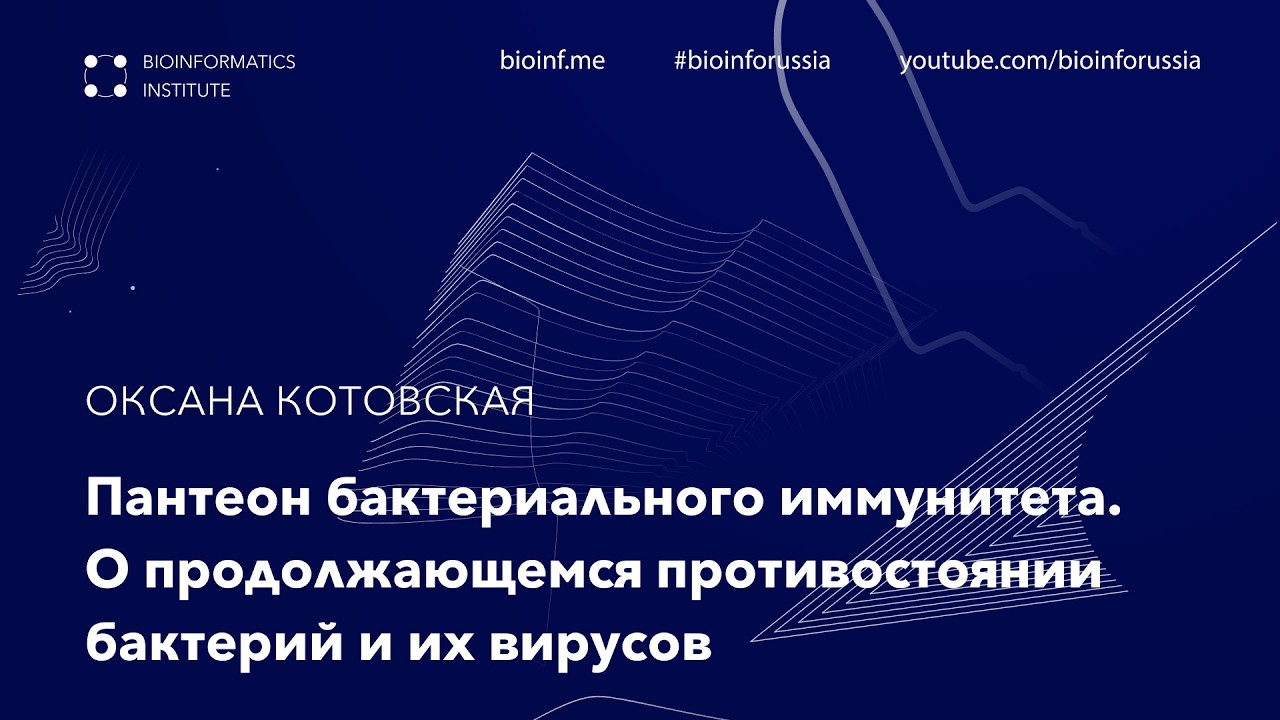 Пантеон бактериального иммунитета| Оксана Котовская