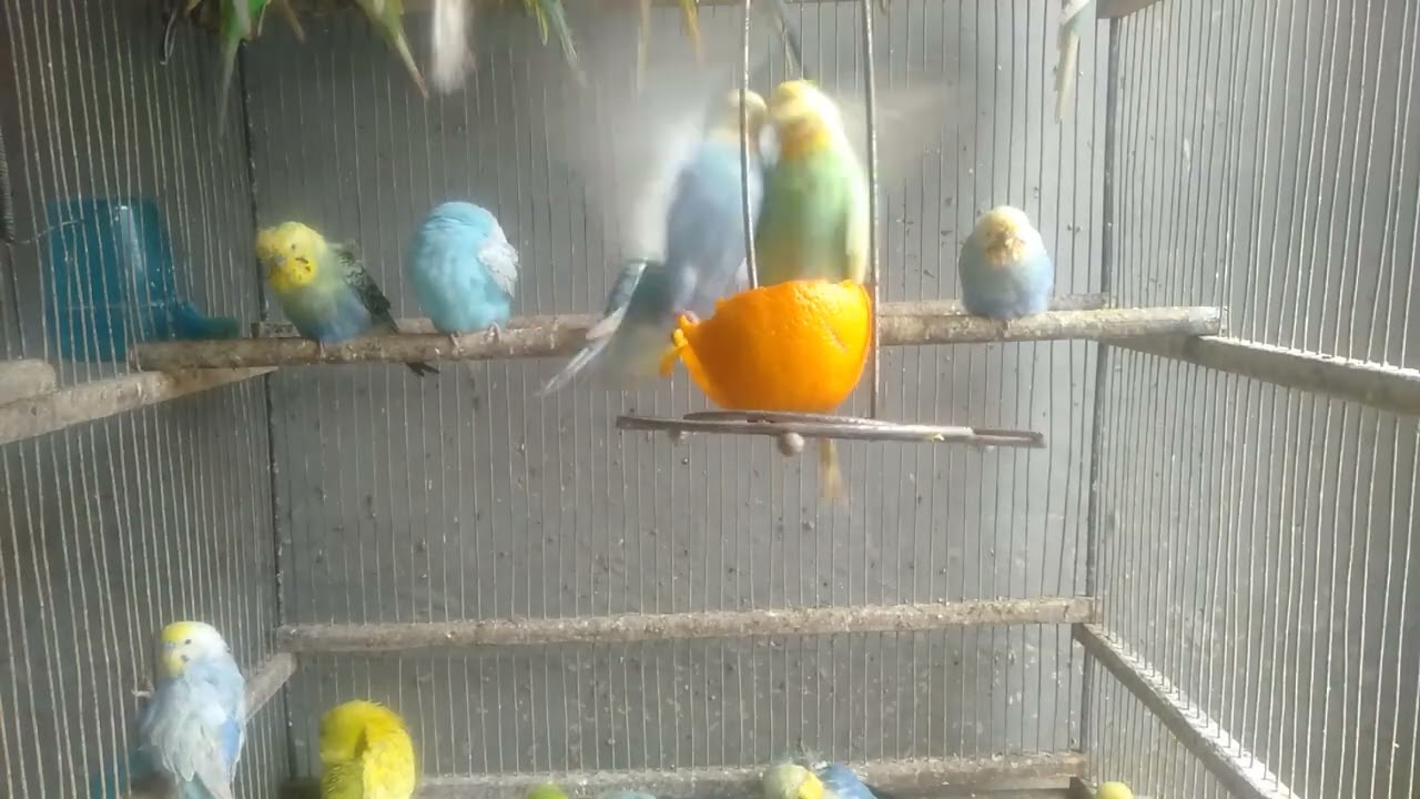 🤯人気No 1は本当に違うのか？比較検証