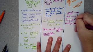 Producers, consumers, decomposers Producers, consumers, decomposers