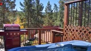 Big Bear Cabin Rentals - Destination Big Bear - Tree Top Retreat