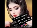 لانسيت ولارضيت بغيرهم