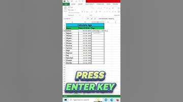 Age Calculation Excel Trick #shorts