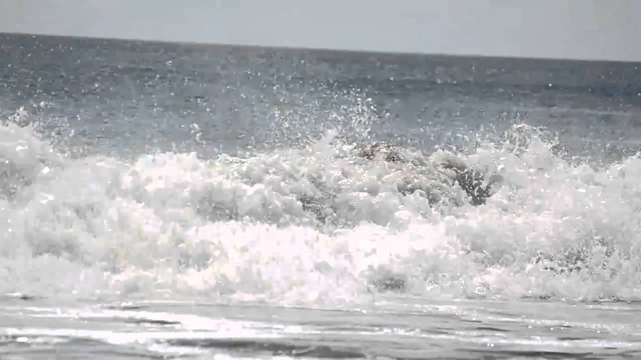 Costa Rica Field Course Videos: Surfing Lessons on Playa Naranjo Part Two