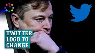 Elon Musk says Twitter to change logo Profile