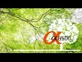 新緑 -fresh verdure- SONY α6500 4K 24p