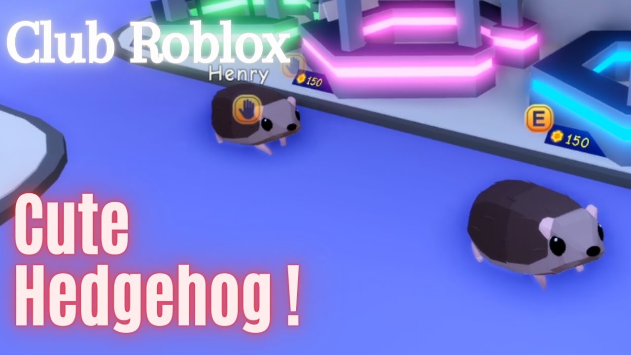 Cute Hedgehog in Club Roblox - gameplay by Astros Farm