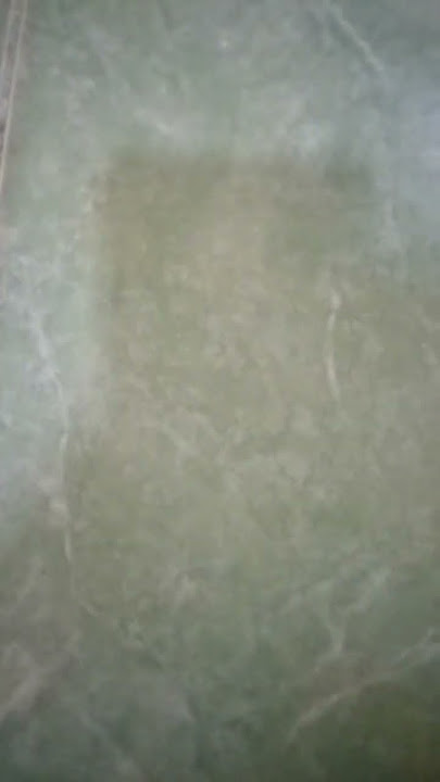 tante viral #shorts