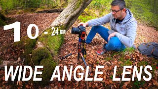 How to Use a Wide Angle Lens | Landscape Photography | The New Forest