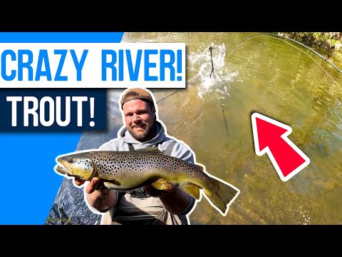 This Trout went CRAZY! River Lure fishing for WILD brown trout