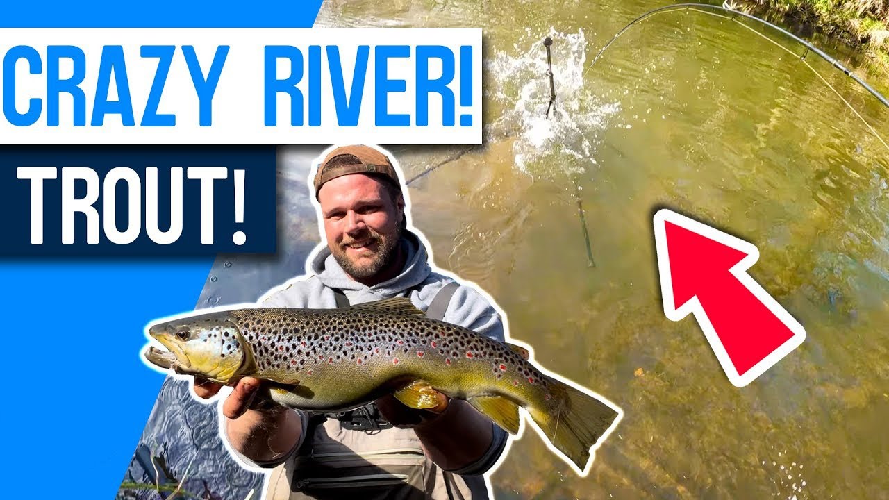 Top Lure for Wild River Brown Trout! - Winter Trout Fishing Tips 