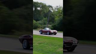 1966 Chevy Corvette Restomod Buzz By Volo Museum V21967