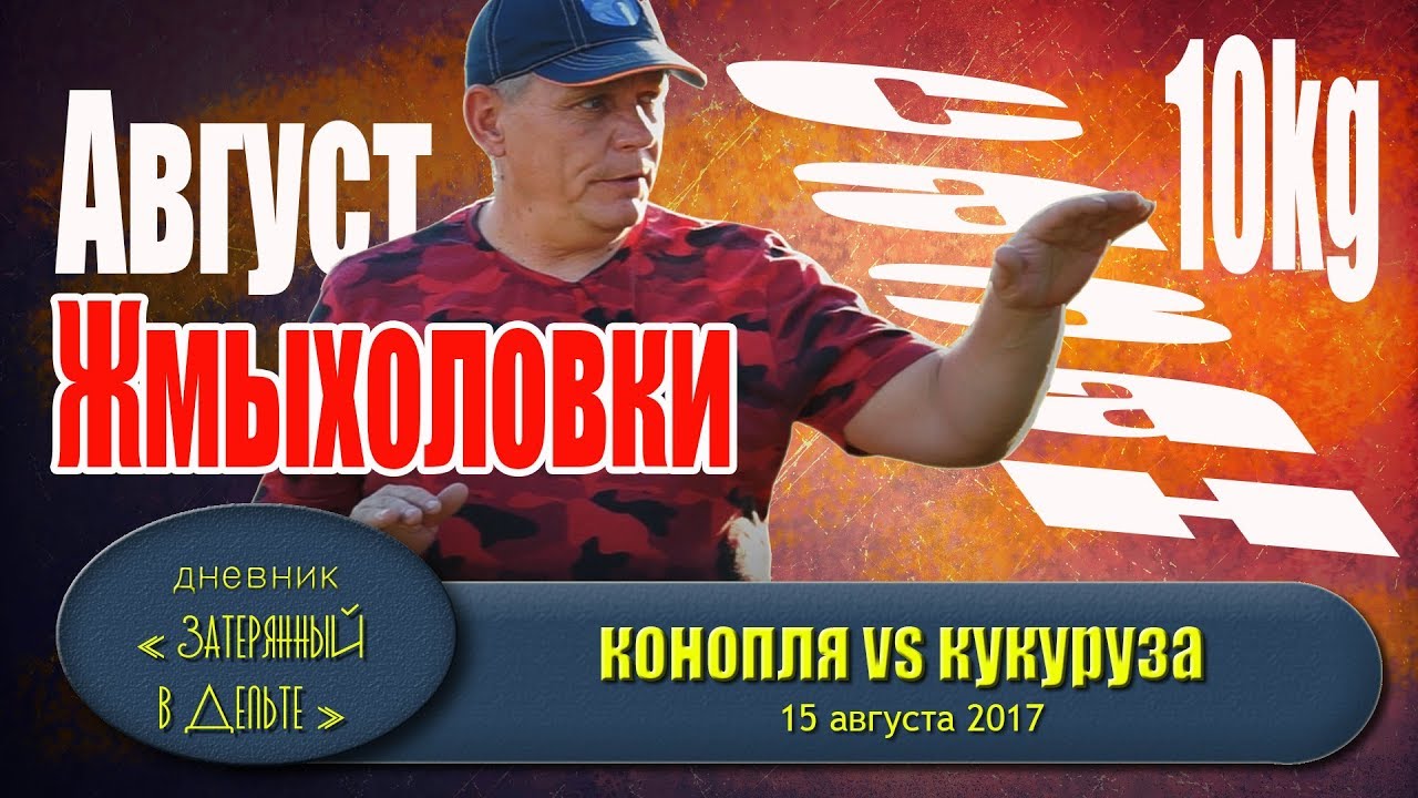 Рр3 волга количество