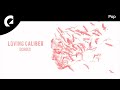 Loving Caliber - You Got Me Too