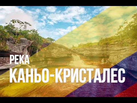 Река Каньо-Кристалес. Колумбия