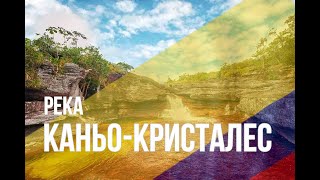 Река Каньо-Кристалес. Колумбия