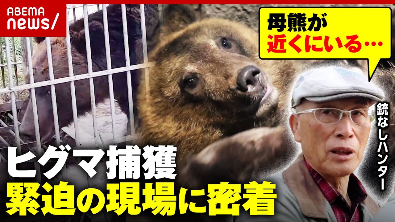 【丸腰ハンター】クマ被害が緊急事態「ヒグマと共存は無理だ」「母熊が近くにいる…」緊迫する調査現場のリアル｜ABEMA的ニュースショー