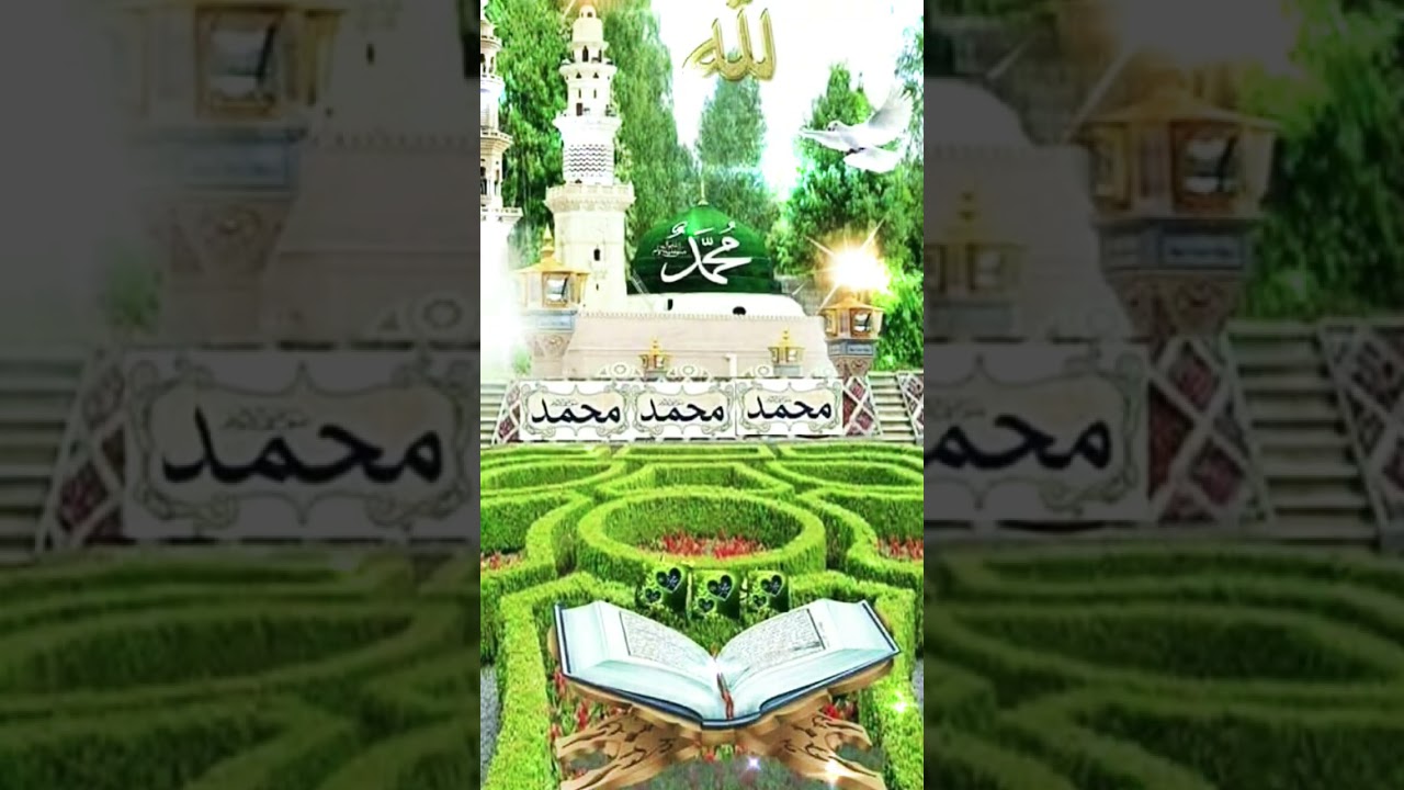 #quran