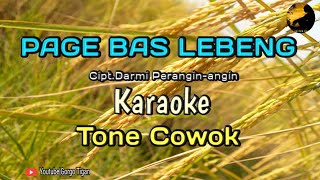 PAGE BAS LEBENG || TONE COWOK || Cipt.Darmi Perangin-angin @GorgoTiganChannel