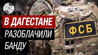 ФСБ: в Дагестане задержали банду энергетиков, похитивших почти 3 млрд рублей