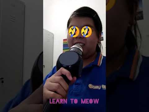 Mp3 Download Free Lyrics Xue Mao Jiao