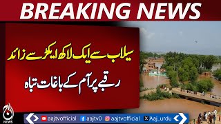 Severe floods wreak havoc across Punjab, massive losses reported - Pakistan news