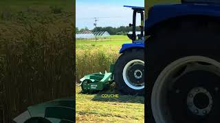 *Pourquoi les Agriculteurs Détruisent Leurs Propres Cultures*