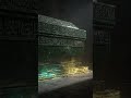 Did This Ancient Curse Start WWII? The Mystery of Timur’s Tomb  #AncientCurse #Tamerlane #WW2History