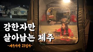 Camping on Jeju Island in South Korea, where only the strong survive