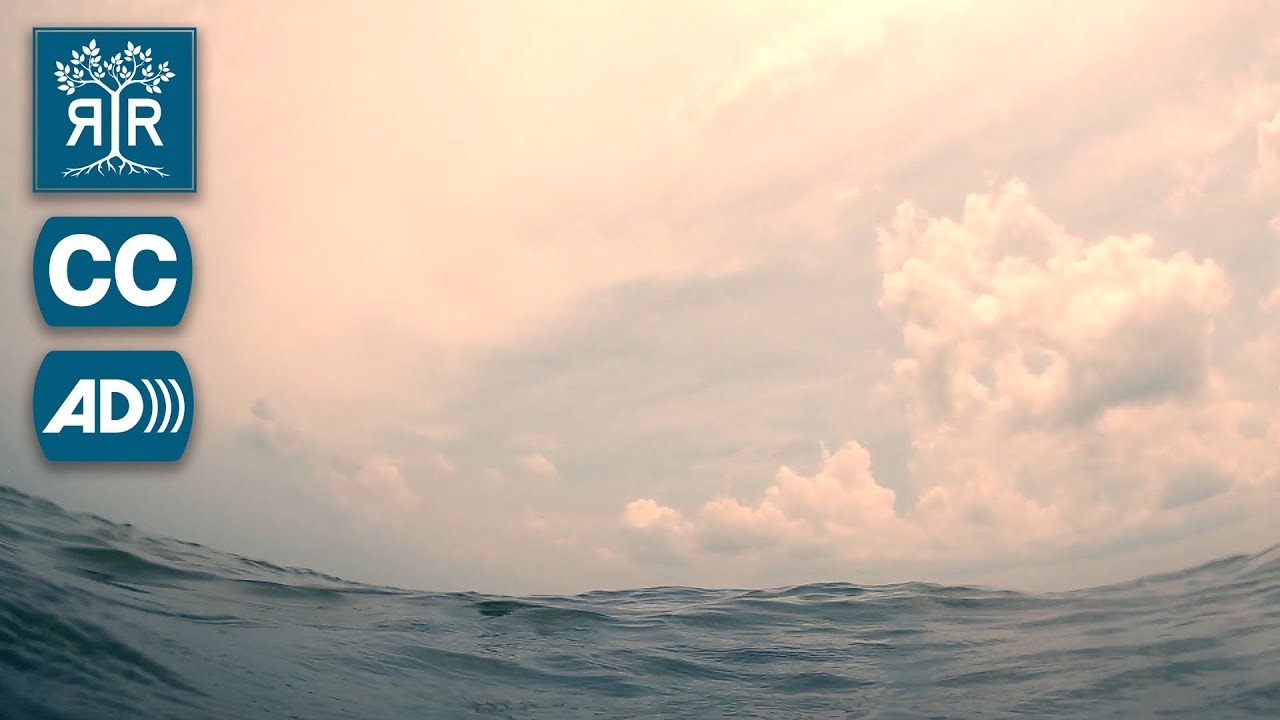 Audio Described: The Right to be Rescued