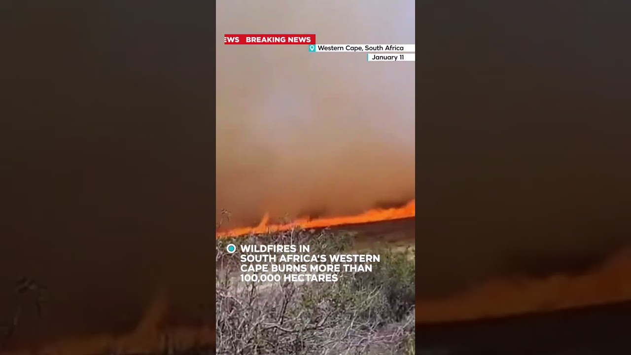 Wildfires continue to burn across South Africa’s Western Cape, scorching more than 100,000 hectares