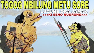 TOGOG MBILUNG METU SORE LUCU KI SENO NUGROHO