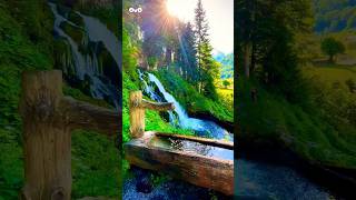 How I Found Peace and Happiness in Nature | No Hustle, No Bustle | Moye Moye #nature #shorts