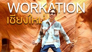 เชียงใหม่ 1 วันเที่ยวไหนดี? คาเฟ่ กินอาหารร้านดัง ไปวัด | WORKATION EP.3