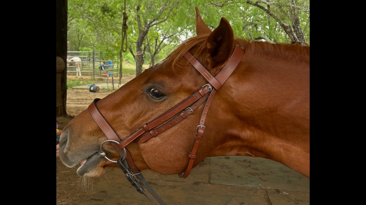 Pepsi, Day Two With Tire, Ride #28