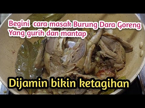 Resep Burung Dara Goreng Dengan Kulit Krispy