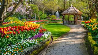 Small Garden Ideas 2026 🌿 Transform Tiny Spaces into Beautiful Green Retreats with Soothing Music