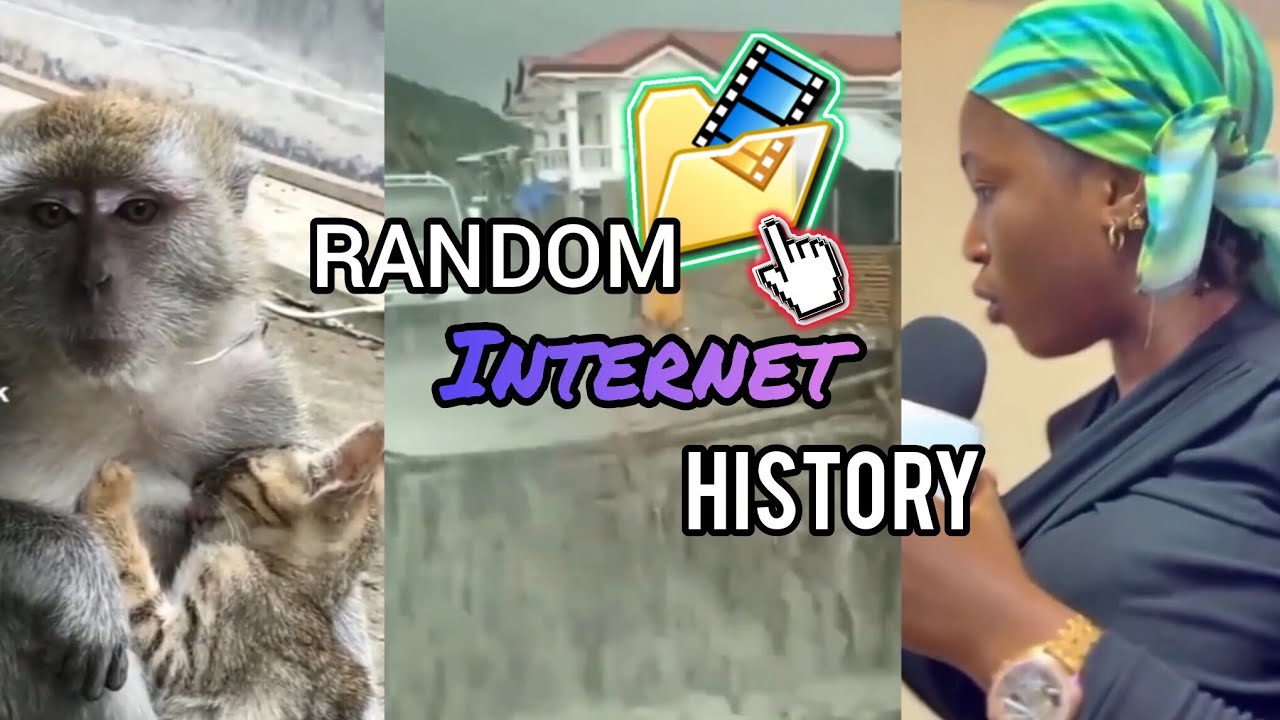 Random Internet History