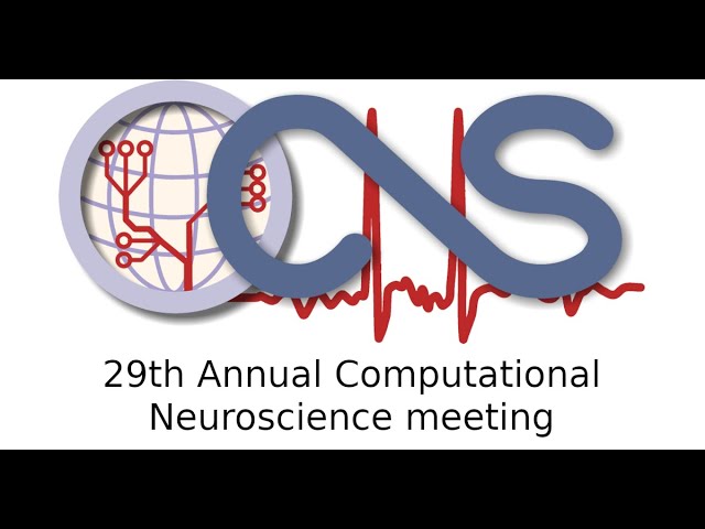 CNS*2020: Keynote 1: Q&A session: Discussion with Matt Botvinick